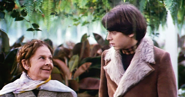 Harold y Maude