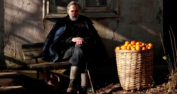 mandariinid_tangerines_still